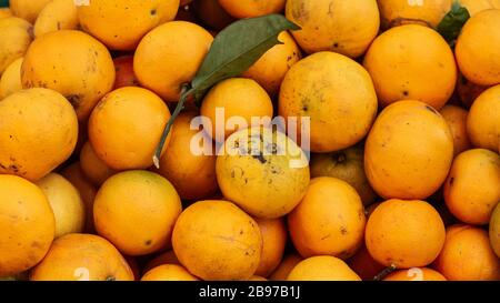 Nahaufnahme reifer roher Orangen Stockfoto