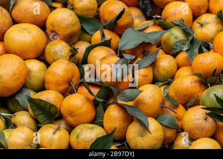 Nahaufnahme reifer roher Mandarinen Stockfoto