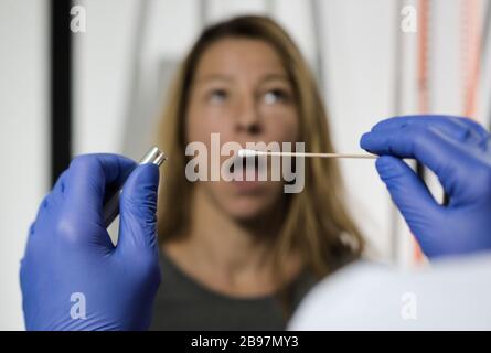 Nehmen einer Speichelbukcal Abstrichtestprobe Kontrolluntersuchung der Abstrichprobe in Labatory auf virengenetische dna-Medikamente forensisch Stockfoto