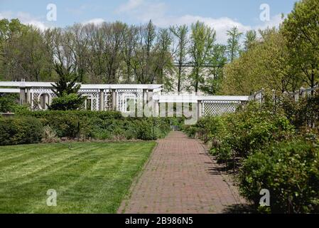 Der Frühling ist im Brooklyn Botanical Garden für ihr jährliches Cherry Blossom Festival entstanden. Stockfoto