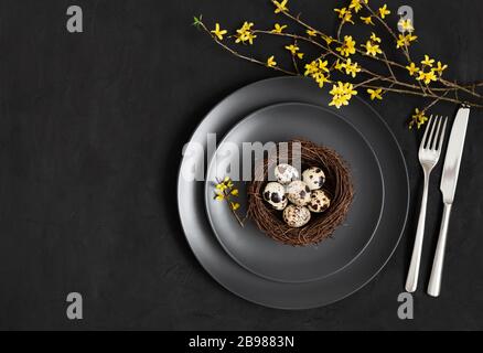 Oster-Dunkel-Tischeinstellung mit einem Gelege von kleinen Wachteleiern und gelben Blumen auf schwarzem Grund. Kopierbereich, Draufsicht, flaches Layout. Stockfoto
