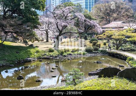 Koishikawa Korakuen Gardens, Bunkyo-Ku, Tokio, Japan Stockfoto