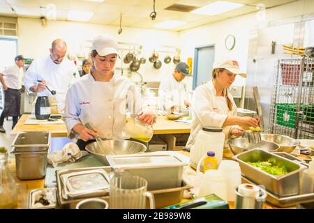 Chefkoch Fredericks in der kommerziellen Küche, School of Culinary Arts and Hotel Management, Santa Barbara City College, Santa Barbara, Kalifornien Stockfoto