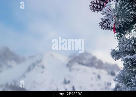 Weihnachtsbaum und Berghintergrund, verschwommen. Frohes neues Jahr und Weihnachtsmotiv Stockfoto