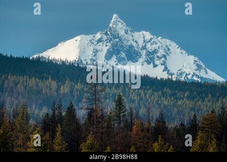 Berg in Oregon am Mt Washington Stockfoto