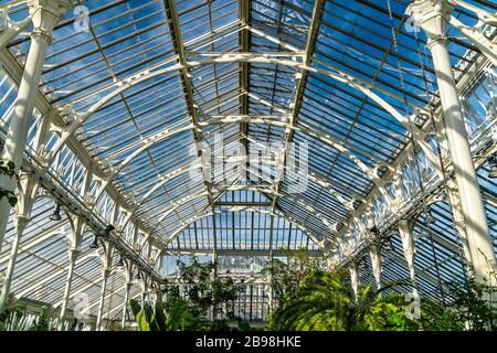 Innenansicht des Gewächshauses "Temperate" in Kew Gardens in London Stockfoto