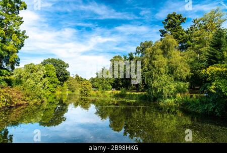 Lake in Kew Botanic Gardens in London Stockfoto