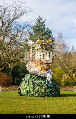 Ungewöhnliche Skulptur in sieben Hektar von Künstler Philip Haas: Ein Kopf, der aus einer Sammlung von Pflanzen auf dem Spiel im RHS Garden, Wisley, Surrey gebildet wurde Stockfoto