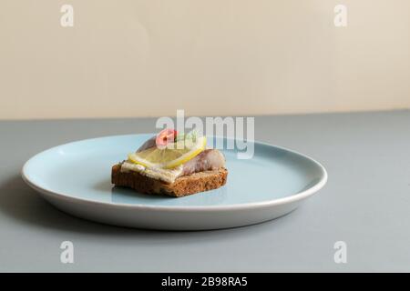 Sandwiches mit eingelegtem Hering mit Zitrone, Chili und Dill. Gesunde Ernährung. Minimalismus. Grauer Hintergrund. Stockfoto