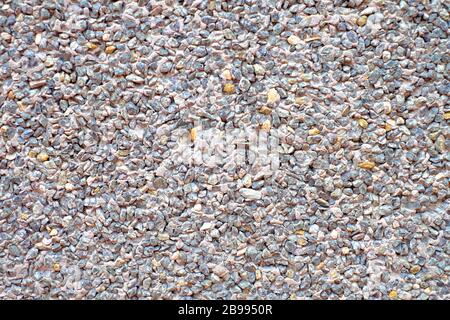 Große grobe Textur, raues dekoratives Außenmuster mit kleinen Steinen und Betonoberfläche. Stockfoto