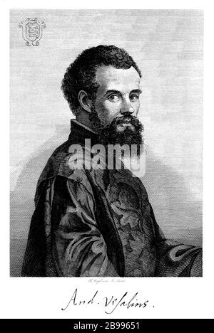 1542, BELGIEN: Der flamische Anatom ANDREAS VESALIUS (* 1514; † 1564) alias ANDREA VESALIO alias Andreas van Wesel. Autor von de Humani Corporation Fabrica Libri Septem (auf dem Gewebe des menschlichen Körpers). Porträt Radierung im Alter von 28 Jahren von Karel Onghena im Jahre 1841 . - ANATOMIE - ANATOMIE - ANATOM - ANATOMISTA - Wissenschaftler - Porträt - Ritratto - DOTTORE - MEDICO - MEDICINA - Medizin - SCIENZA - WISSENSCHAFT - DOTTORE - MEDICIAN - Illustration - Gravur - Incision - Bart - Barba - BELGIO -- Archivio GBB Stockfoto