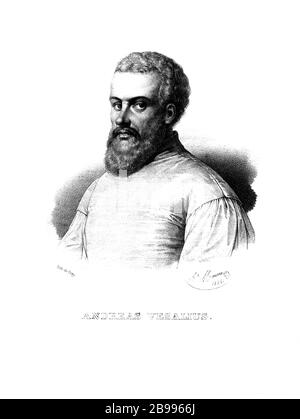 1543 Ca, BELGIEN: Der Flamische Anatom ANDREAS VESALIUS (* 1514; † 1564) alias ANDREA VESALIO alias Andreas van Wesel. Autor von de Humani Corporation Fabrica Libri Septem (auf dem Gewebe des menschlichen Körpers). Portrait von A. Maurios, im Jahre 1835 . - ANATOMIE - ANATOMIE - ANATOM - ANATOMISTA - Wissenschaftler - Porträt - Ritratto - DOTTORE - MEDICO - MEDICINA - Medizin - SCIENZA - WISSENSCHAFT - DOTTORE - MEDICIAN - Illustration - Gravur - Incision - Bart - Barba - BELGIO -- Archivio GBB Stockfoto