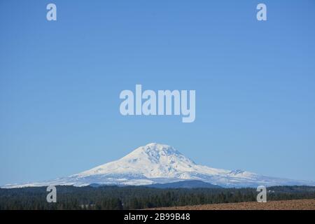 Mount Adams von Südosten gesehen, mit einem Vordergrund von Ackerland in Klickitat County und Wald, Washington State, USA. Stockfoto