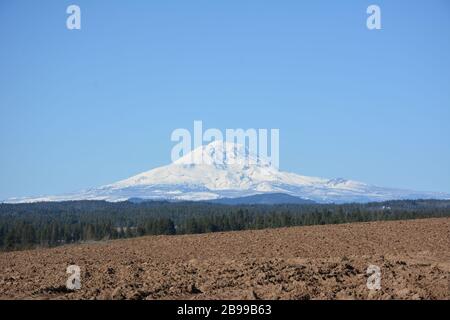 Mount Adams von Südosten gesehen, mit einem Vordergrund von Ackerland in Klickitat County und Wald, Washington State, USA. Stockfoto