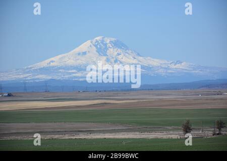 Mount Adams von Südosten gesehen, mit einem Vordergrund von Ackerland in Klickitat County und Wald, Washington State, USA. Stockfoto