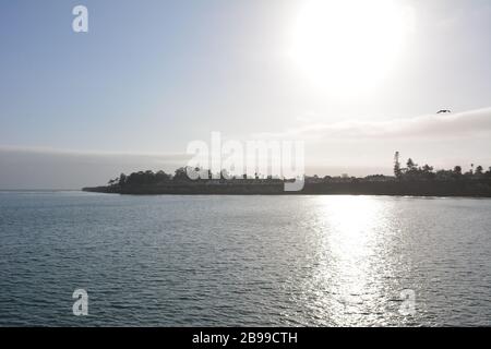 Eine Möwe fliegt über den Klippen in Santa Cruz, Kalifornien, USA, mit Blick auf die Abendsonne. Stockfoto