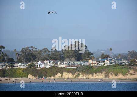 Gesehen von Santa Cruz Wharf, einer Möwe fliegen und Immobilien in der Nähe der Klippe und öffentlichen Stränden in Santa Cruz, Kalifornien, USA. Stockfoto