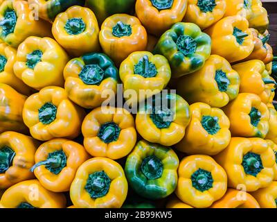 Gelbe Paprika in einem Supermarkt ausgestellt Stockfoto
