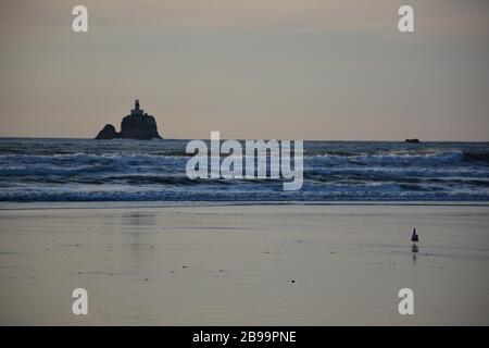 Tillamook Rock Lighthouse, im Nachmittags-Licht von Indian Beach, Ecola State Park, Clatsop County, Oregon Coast, USA. Stockfoto