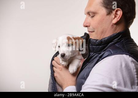 Mann hält Jack russell Terrier Welpen in den Händen Stockfoto