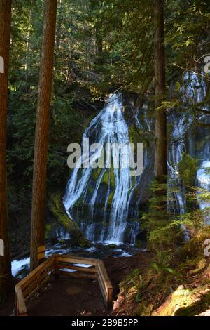 Panther Creek Falls, Gifford Pinchot National Forest, Washington State, USA Stockfoto