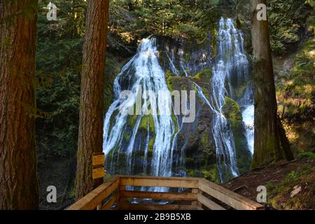 Panther Creek Falls, Gifford Pinchot National Forest, Washington State, USA Stockfoto