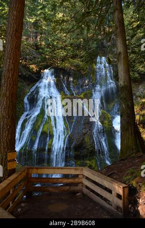 Panther Creek Falls, Gifford Pinchot National Forest, Washington State, USA Stockfoto