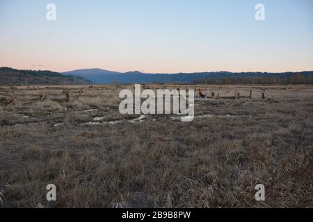 Ein offener blick auf das Steigerwald Lake National Wildlife Refuge in der Nähe von Washougal am Columbia River im US-Bundesstaat Washington bietet einen Blick auf Mt Hood. Stockfoto