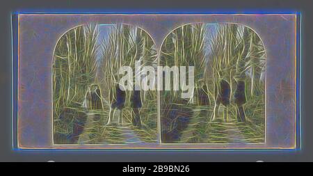 Zwei Männer und Frauen auf einer Waldspur, Holz und Park (als Erholungsorte), Wandern, Wandern, Waldweg oder -Weg, Europa, anonym, c 1850 - ca. 1880, Pappe, Fotopapier, Albumindruck, h 85 mm × w 170 mm, von Gibon neu vorgestellt, Design von warmem, fröhlichem Leuchten von Helligkeit und Lichtstrahlen. Klassische Kunst mit moderner Note neu erfunden. Fotografie, inspiriert vom Futurismus, die dynamische Energie moderner Technologie, Bewegung, Geschwindigkeit und Kultur revolutionieren. Stockfoto