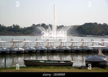 Weiße Schwanenboote im Freien für Entspannung auf dem See mit Springbrunnen im Park A. Stockfoto