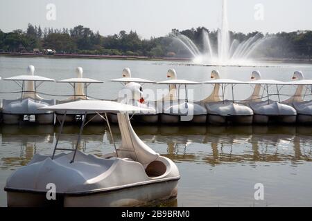 Weiße Schwanenboote im Freien für Entspannung auf dem See mit Springbrunnen im Park A. Stockfoto