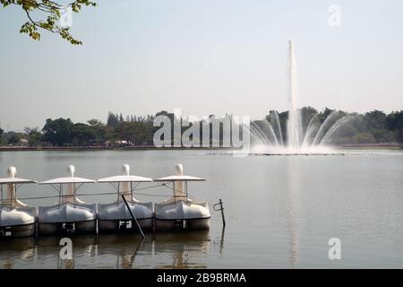 Weiße Schwanenboote im Freien für Entspannung auf dem See mit Springbrunnen im Park A. Stockfoto