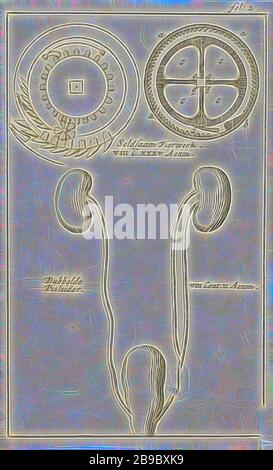 Anatomisches Bild XXI, Druck oben rechts: fol: 2, anatomische Modelle (in der Regel Serie von fünf Figuren), Biologie, Jan Luyken, Amsterdam, 1680 - 1688, Papier, Radierung, h 136 mm × w 84 mm, von Gibon neu vorgestellt, Design von warmem, fröhlichem Leuchten von Helligkeit und Lichtstrahlen. Klassische Kunst mit moderner Note neu erfunden. Fotografie, inspiriert vom Futurismus, die dynamische Energie moderner Technologie, Bewegung, Geschwindigkeit und Kultur revolutionieren. Stockfoto