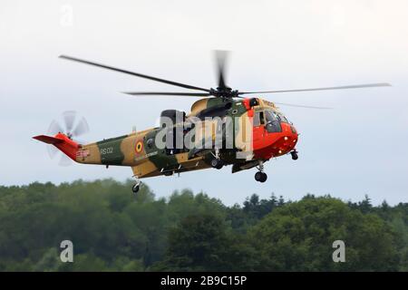 Westland Sea King Mk48 der belgischen Luftwaffe. Stockfoto