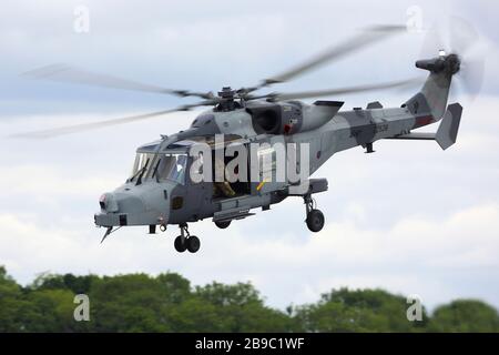 AW-159 Lynx Wildcat AH1 des United Kingdom Army Air Corps. Stockfoto