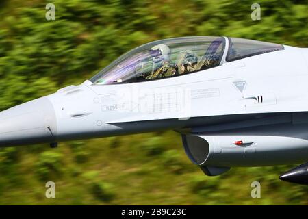 F-16AM Fighting Falcon Jet-Kampfflugzeug der belgischen Luftwaffe. Stockfoto