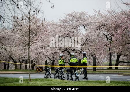 Washington, DC, USA. März 2020. Das Tidal Basin mit Kirschblüten ist wegen COVID-19-Bedenken in Washington, DC, den Vereinigten Staaten, am 23. März 2020 von der Stadt gesperrt. Credit: Ting Shen/Xinhua/Alamy Live News Stockfoto