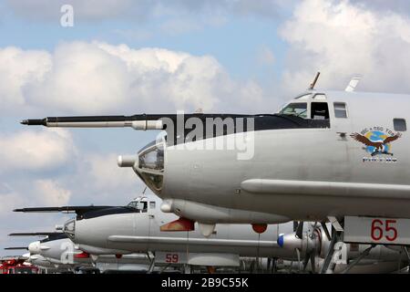 Linie der U-Boot-Anti-U-Boot-Flugzeuge TU-142MZ der russischen Marine auf Parkposition. Stockfoto