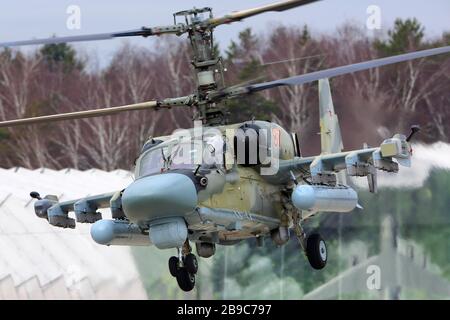 KA-52 Alligator greift Hubschrauber der russischen Luftwaffe an. Stockfoto