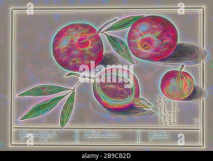 Granatapfel (Punica granatum) Grenaert Appels. / Mala Punica. / Granaten. (Titel auf Objekt), Granatapfel. Einige Früchte mit Blättern, ein Schnitt offen. Nummeriert oben rechts: 132. Oben rechts der Name in drei Sprachen. Teil des zweiten Albums mit Zeichnungen von Blumen und Pflanzen. Neuntes von zwölf Alben mit Zeichnungen von Tieren, Vögeln und Pflanzen, die um 1600 bekannt wurden, im Auftrag von Kaiser Rudolf II Mit Erläuterungen auf Niederländisch, Latein und Französisch., Früchte: Granatapfel, Anselmus Boetius de Boodt, 1596 - 1610, Papier, Aquarell (Farbe), Deckfarbe, Tinte, Kreide, Stift, h 283 mm × w 173 mm, neu von Gibon, des vorgestellt Stockfoto