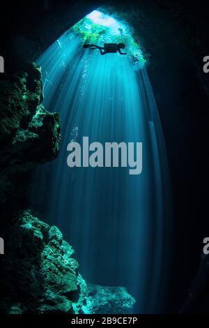 Sonnenstrahlen kommen durch den Eingang eines Cenotes in der Karibik, Mexiko. Stockfoto