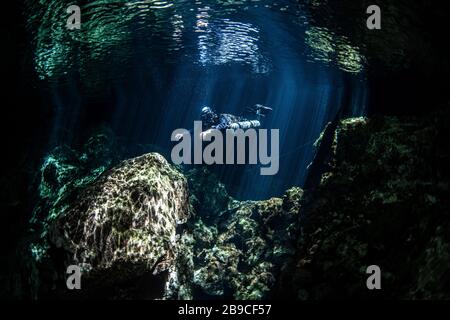 Ein Taucher schwebt unter Sonnenstrahlen, während sie in die Oberfläche einer Höhle in Mexiko eindringen. Stockfoto