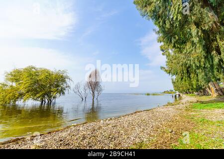 Ein Gev, Israel - 16. März 2020: Winterblick auf den hohen Wasserstand im See Genezareth mit Besuchern. Nordisraelisch Stockfoto