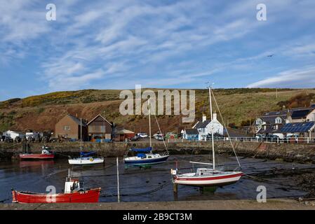 Der kleine Innenhafen mit seinen verschiedenen Schiffen, die bei Low Tide im kleinen schottischen Fischerdorf Gourdon gefesselt sind. Stockfoto