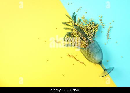 Rotwein, mit Käse, Früchte, Mandeln und Oliven, Kerzen, dekorative Blumen auf den Küchentisch und womans Hand ein Glas Wein, weiß wa Stockfoto