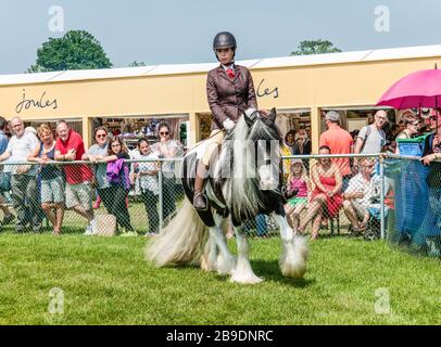 Junge Frauen, die auf der Surrey County Show in Guildford ihr Pony im Ring reiten. Stockfoto