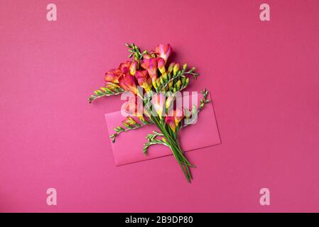 Frühlings-Freesien-Blumen auf pinkfarbenem Hintergrund. Flache Lage, Draufsicht. Frühlings- und Sommerkonzept. Frauentag. Kreatives Layout Stockfoto