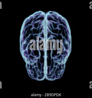 Röntgenstil des menschlichen Gehirns, Draufsicht auf schwarzem Hintergrund. Stockfoto