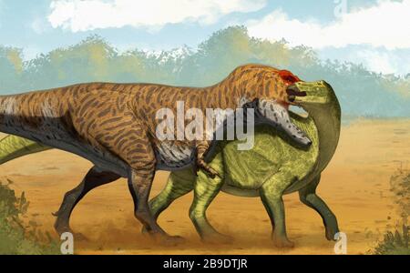 Daspletosaurus auf der Jagd nach einem Brachylophosaurus. Stockfoto