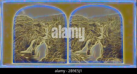 Colwith Force, Langdale, Britisch, ca. 1860, Albumen Silberdruck, von Gibon neu vorgestellt, Design von warmem, fröhlichem Leuchten von Helligkeit und Lichtstrahlen. Klassische Kunst mit moderner Note neu erfunden. Fotografie, inspiriert vom Futurismus, die dynamische Energie moderner Technologie, Bewegung, Geschwindigkeit und Kultur revolutionieren. Stockfoto